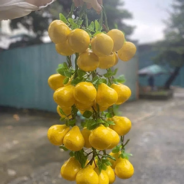 Dây Nông Sản Trang Trí - Củ Quả Giả - Trang Trí Quán Cà Phê, Bếp, Quán Ăn, Lễ Hội, Nhà Hàng, Khách Sạn - Ảnh 6