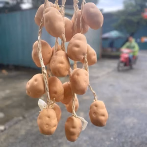 Dây Nông Sản - Củ Quả Giả - Cho Quán Cà Phê, Bếp, Quán Ăn, Lễ Hội, Nhà Hàng, Khách Sạn