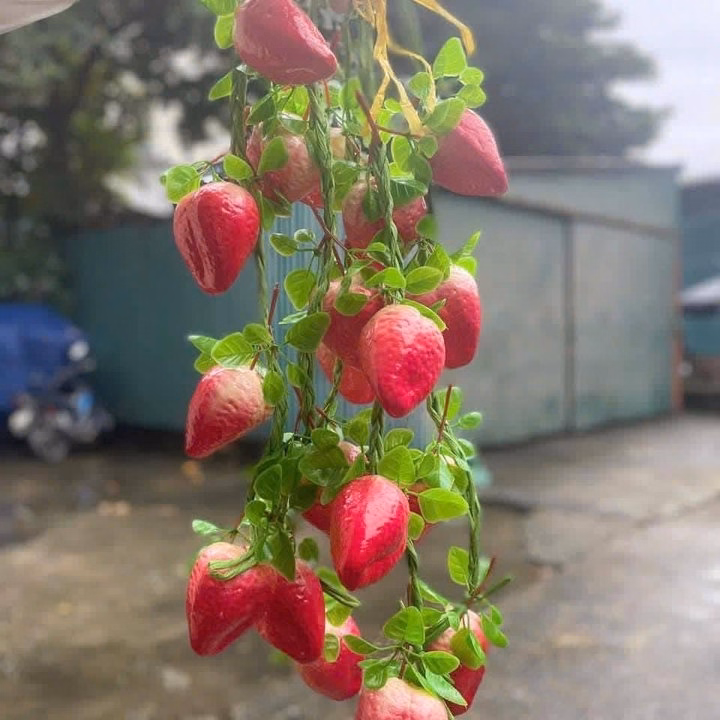 Dây Nông Sản - Củ Quả Giả - Cho Quán Cà Phê, Bếp, Quán Ăn, Lễ Hội, Nhà Hàng, Khách Sạn - Ảnh 5