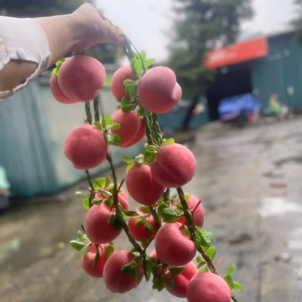Dây Nông Sản - Củ Quả Giả - Cho Quán Cà Phê, Bếp, Quán Ăn, Lễ Hội, Nhà Hàng, Khách Sạn - Ảnh 4