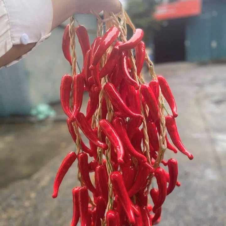 Dây Nông Sản - Củ Quả Giả - Cho Quán Cà Phê, Bếp, Quán Ăn, Lễ Hội, Nhà Hàng, Khách Sạn - Ảnh 8