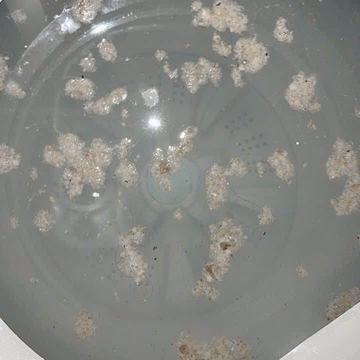 Chai Nước Tẩy Lồng Máy Giặt Số 1 Thông Minh - Ảnh 2