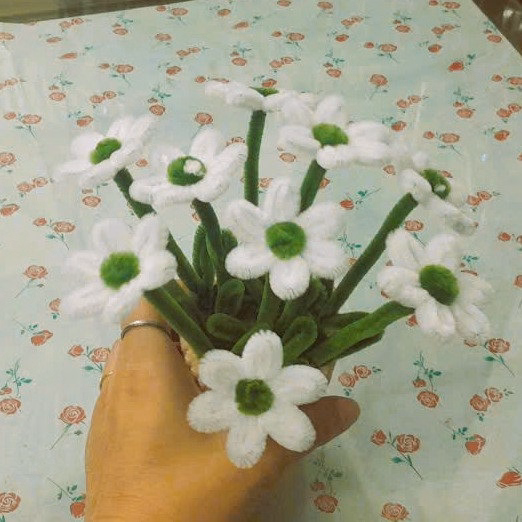 Chậu Hoa Cúc Họa Mi Kẽm Nhung Handmade 04E1025 Yukishop - Ảnh 4