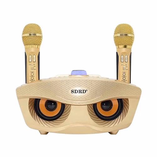 Loa Karaoke Sd 306 Sdrd (Giao Màu Ngẫu Nhiên) - Remax - Ảnh 4