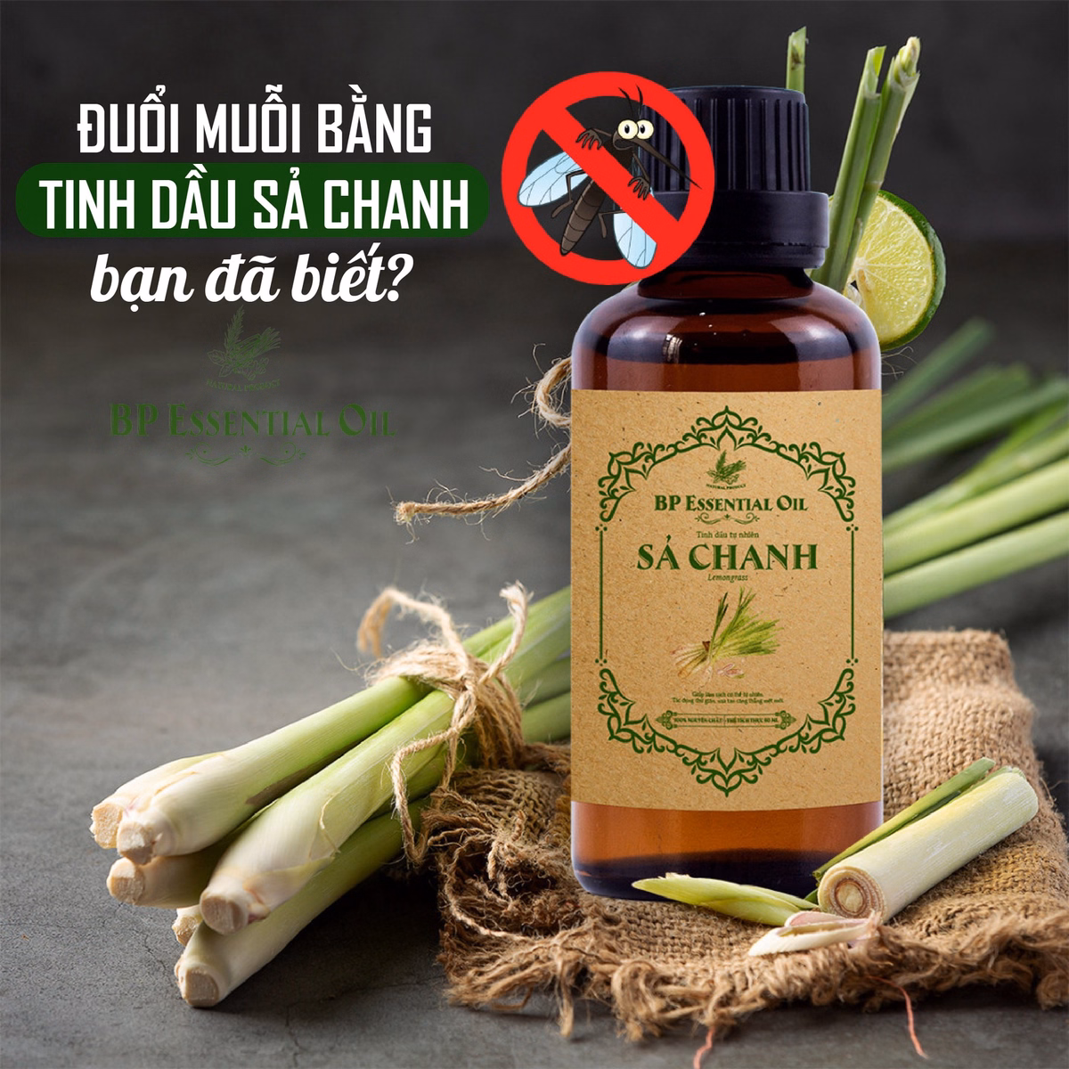 Tinh Dầu Sả Chanh 50Ml - Bp Pharma - Ảnh 3