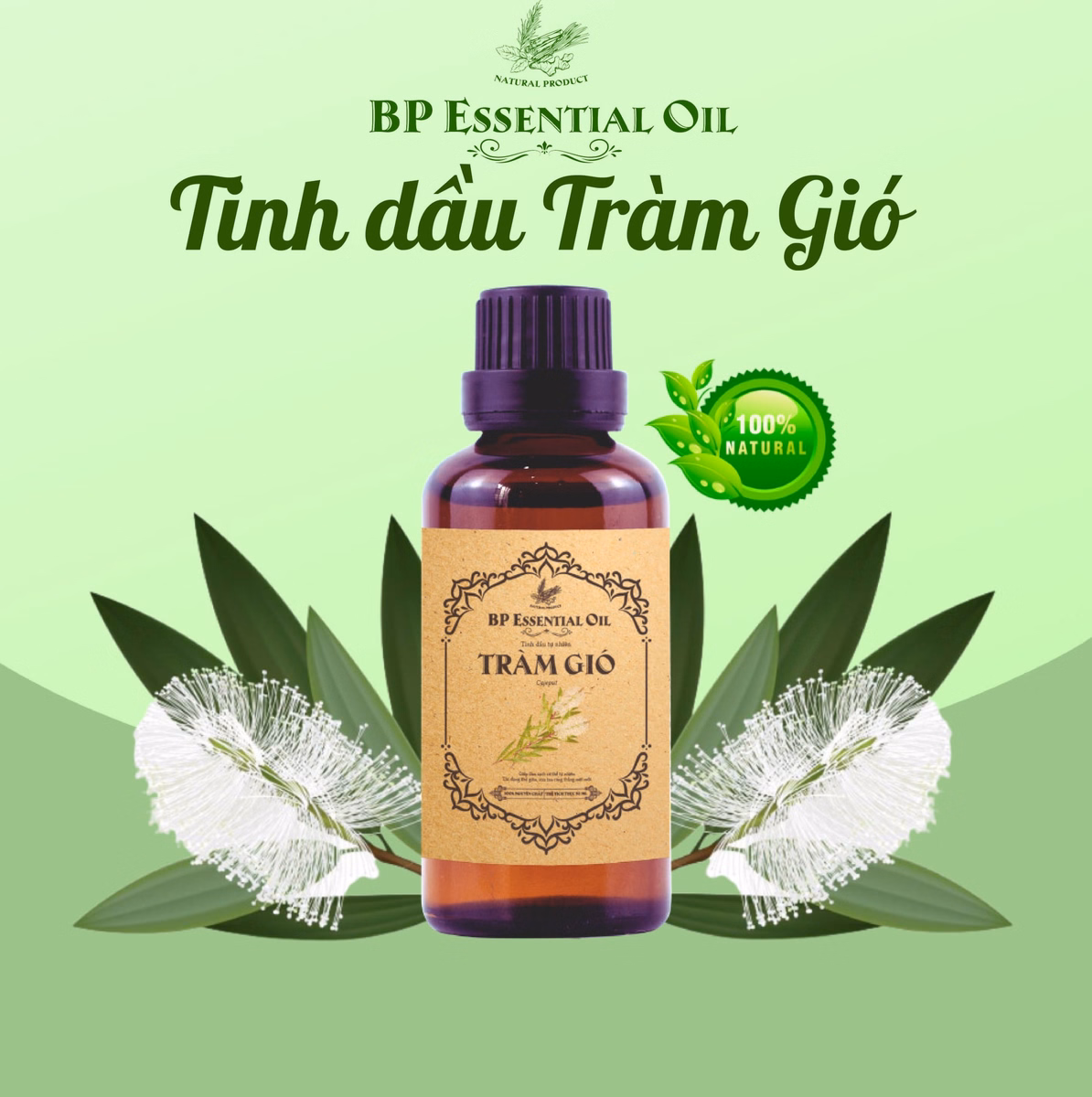Tinh Dầu Tràm Gió 50Ml - Bp Pharma - Ảnh 4