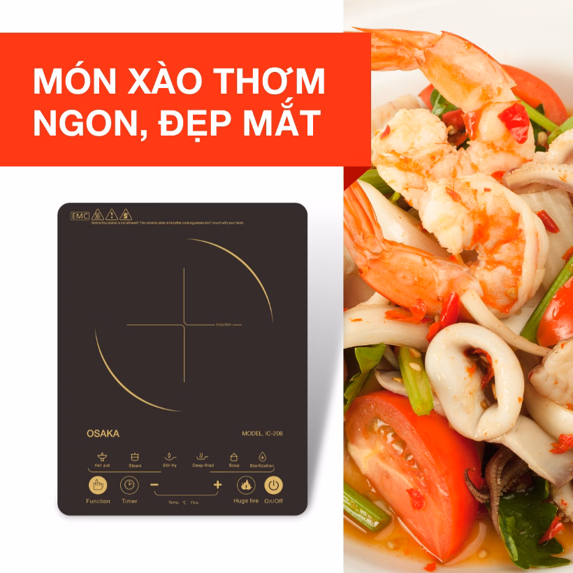 Bếp Điện Từ Cảm Ứng Ic-206 Siêu Mỏng - Osaka - Ảnh 2