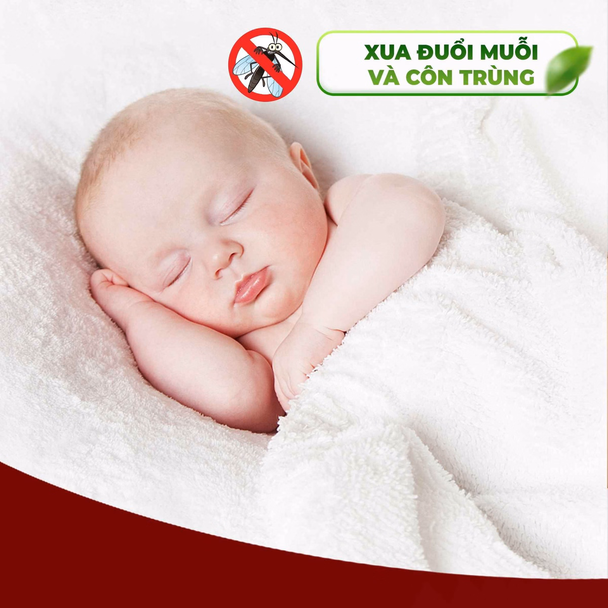Tinh Dầu Tràm Fobaby Cho Bé - Fobelife - Ảnh 4
