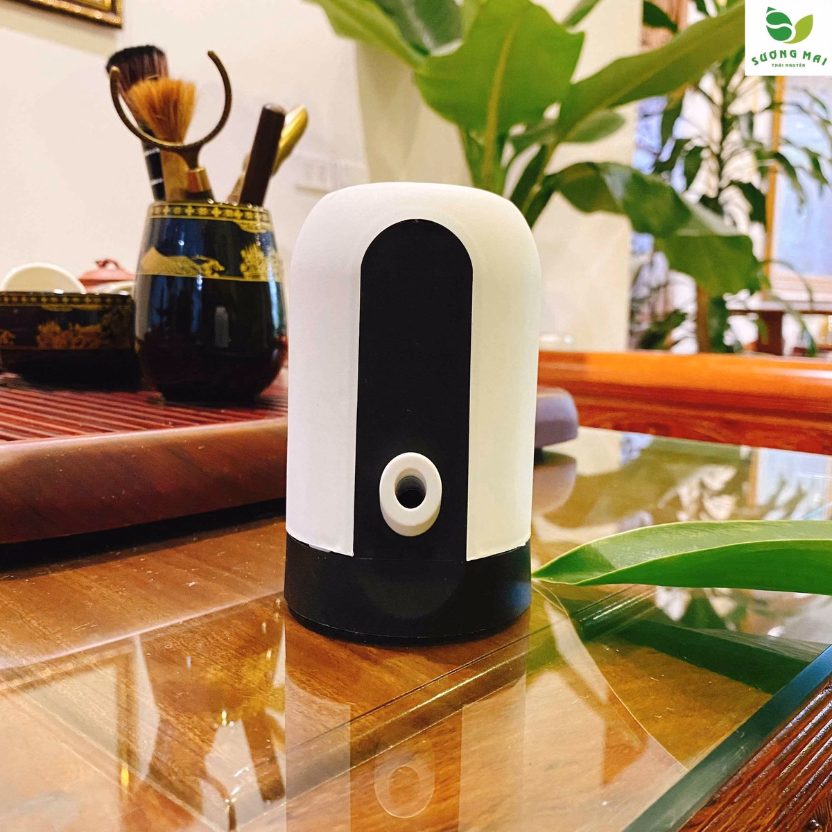 Máy Hút Nước Tự Động - Sương Mai - Ảnh 9