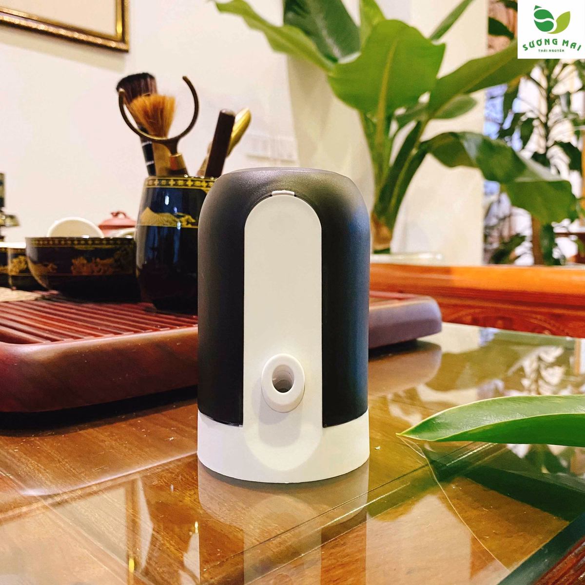 Máy Hút Nước Tự Động - Sương Mai - Ảnh 12