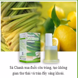Lọ Tinh Dầu Thơm Phòng 30Ml - Aminh - Ảnh 2
