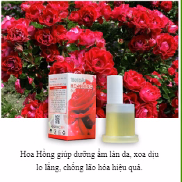 Lọ Tinh Dầu Thơm Phòng 30Ml - Aminh - Ảnh 3