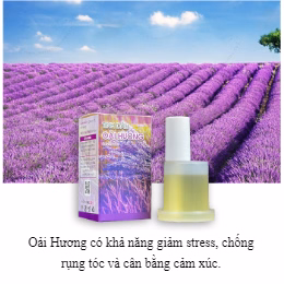 Lọ Tinh Dầu Thơm Phòng 30Ml - Aminh - Ảnh 4