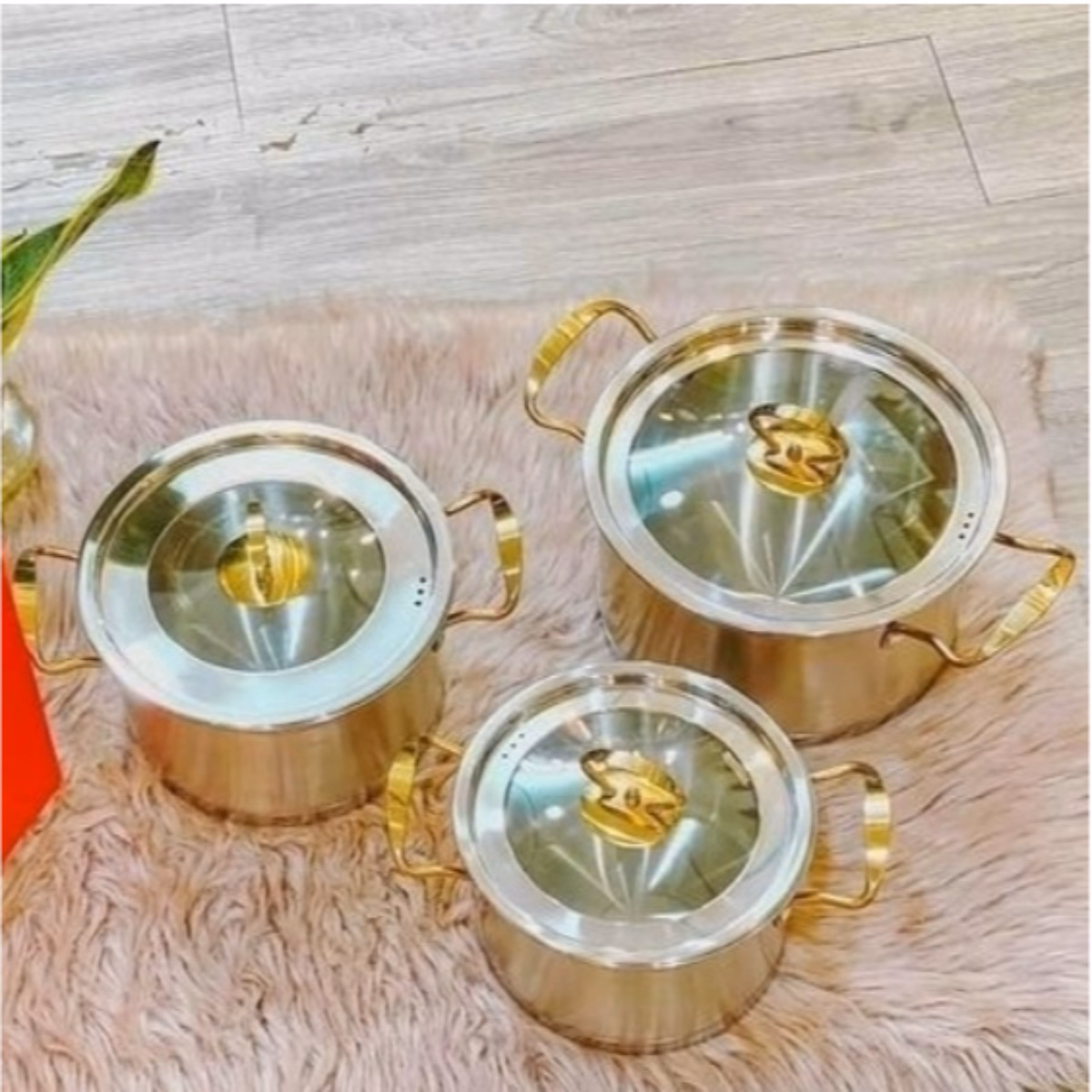 Bộ 3 Nồi Châu Âu Inox Cao Cấp 3 Đáy Misu, Camel Ctb35 - Bechip - Ảnh 2