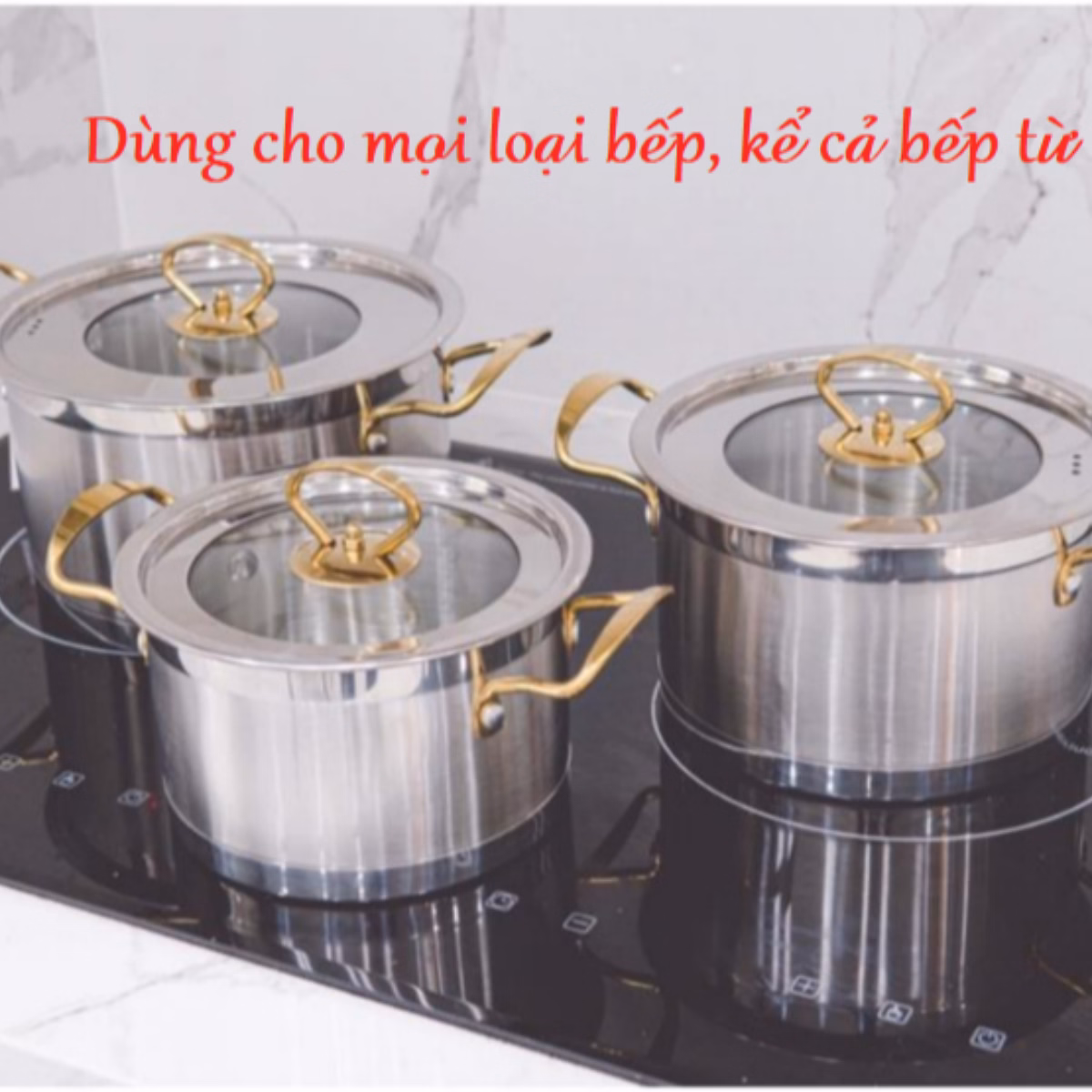 Bộ 3 Nồi Châu Âu Inox Cao Cấp 3 Đáy Misu, Camel Ctb35 - Bechip - Ảnh 7