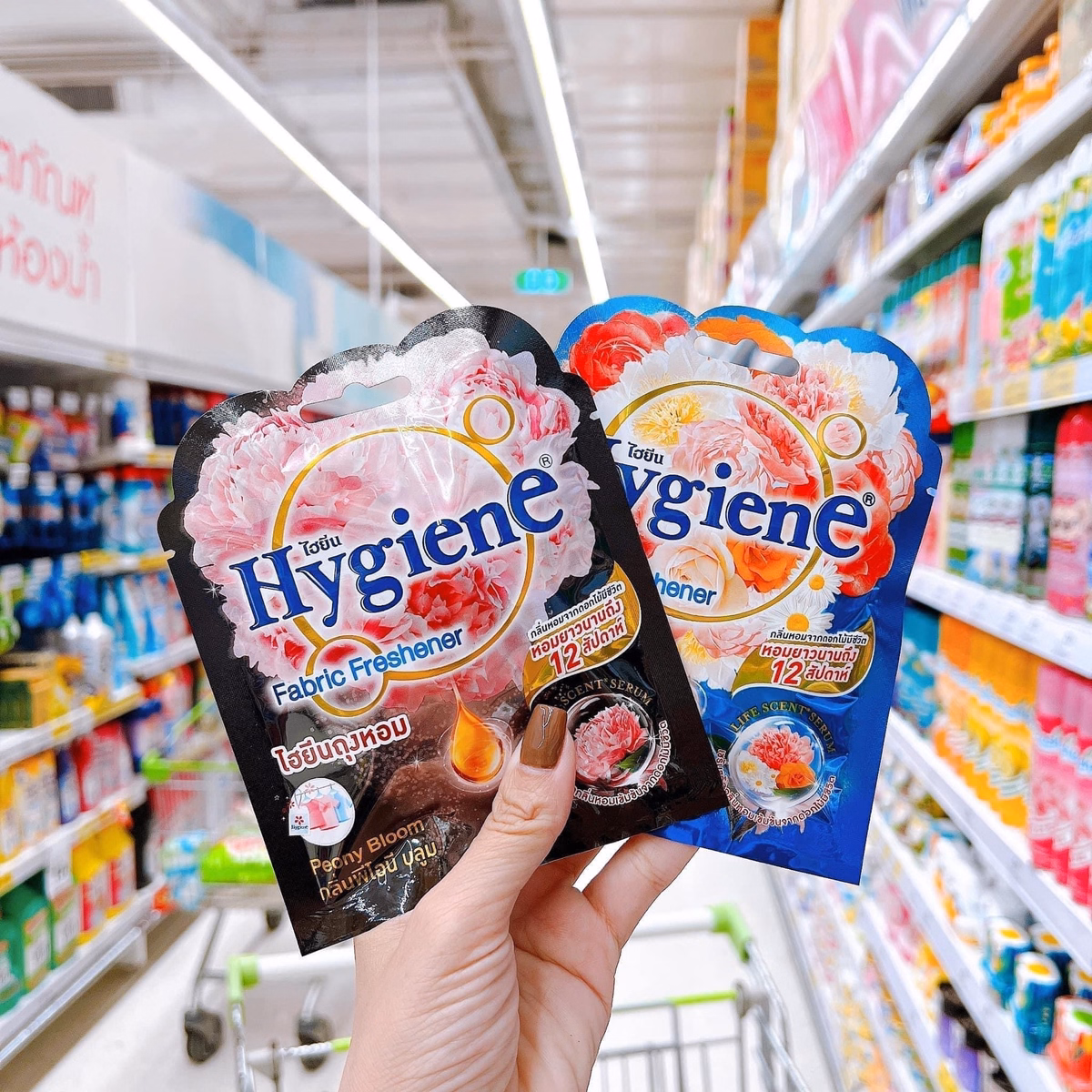 Túi Thơm Để Tủ Quần Áo Hygiene 50Ggam - Hygiene - Ảnh 5