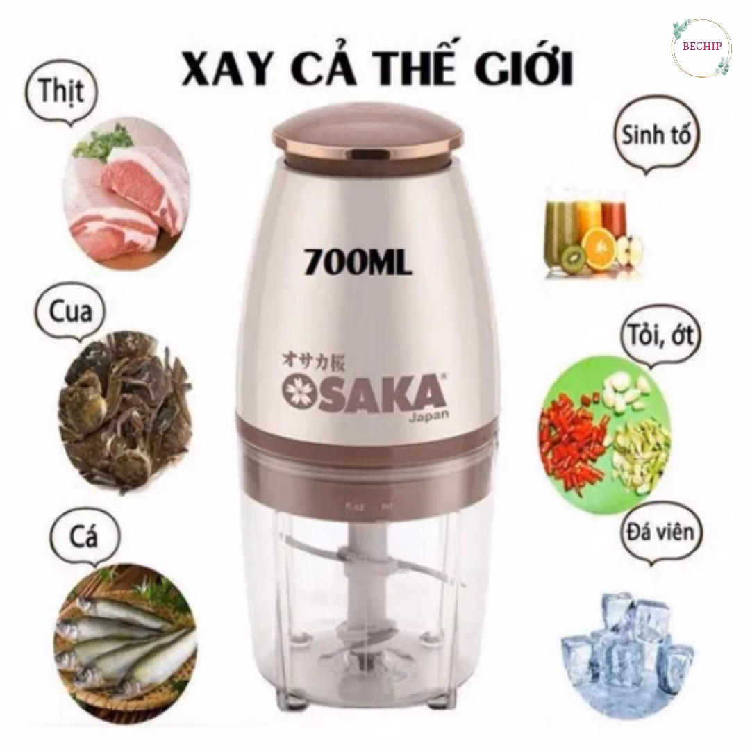 Máy Xay Đa Năng Cao Cấp Osaka Nhật Bản Chuẩn Loại 1 350W Ctb51 - Bechip - Ảnh 2