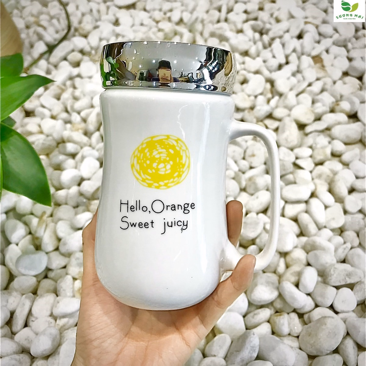 Cốc Sứ Uống Nước, Pha Trà Giữ Nhiệt Có Nắp, Sang Trọng - Sương Mai - Ảnh 3