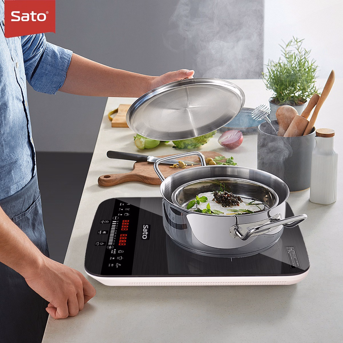 Bếp Từ Đơn Bt042 - Sato - Ảnh 2