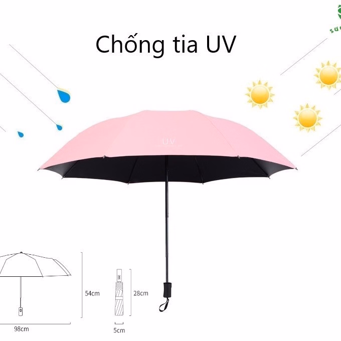Ô Chống Tia Uv 4 Lớp - Sương Mai - Ảnh 6