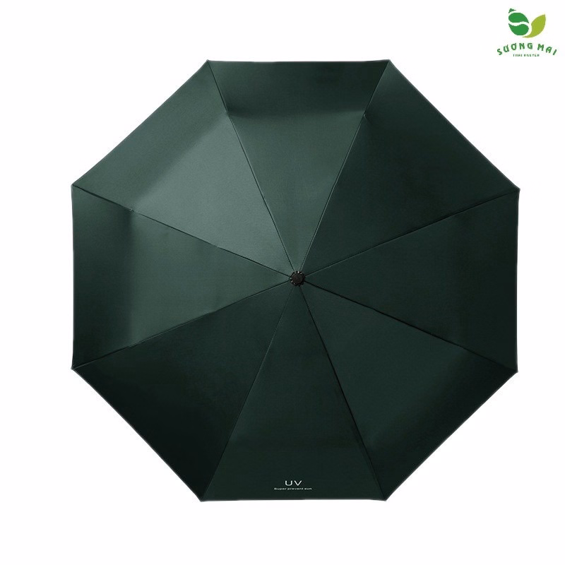 Ô Chống Tia Uv 4 Lớp - Sương Mai - Ảnh 12