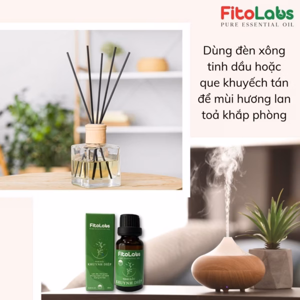 Tinh Dầu Khuynh Diệp Fitolab - Ảnh 4