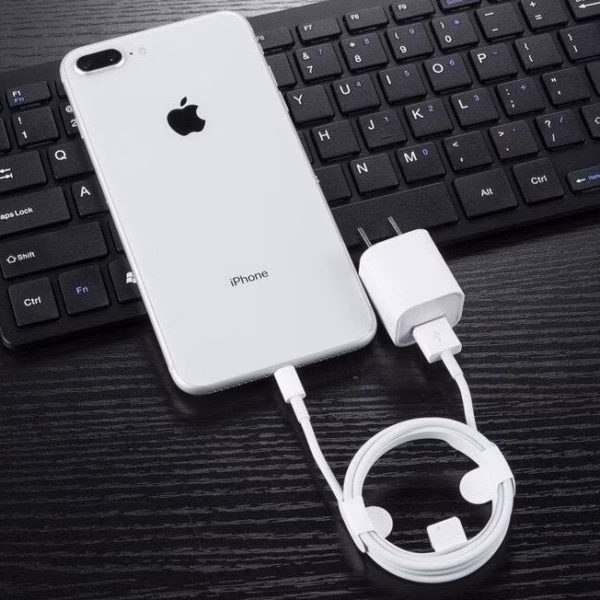 Combo Củ Cáp Sạc Nhanh Iphone (Lightning) - Silver - Ảnh 2