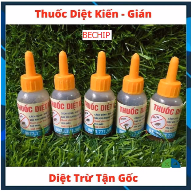 Set 5, 10 Lọ Thuốc Diệt Kiến Gián Sinh Học Hiệu Quả Ctb165 - Bechip