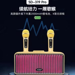 Hộp 1 Bộ - Loa Karaoke Sd319 Pro Sdrd Kèm 2 Micro Không Dây (Giao Màu Ngẫu Nhiên)