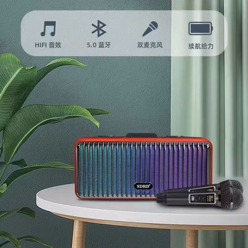 Hộp 1 Bộ - Loa Karaoke Sd319 Pro Sdrd Kèm 2 Micro Không Dây (Giao Màu Ngẫu Nhiên) - Ảnh 2