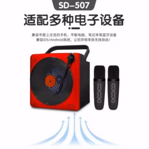 Hộp 1 Bộ - Loa Karaoke Sd507 Sdrd Kèm 2 Mic Không Dây (Giao Màu Ngẫu Nhiên)