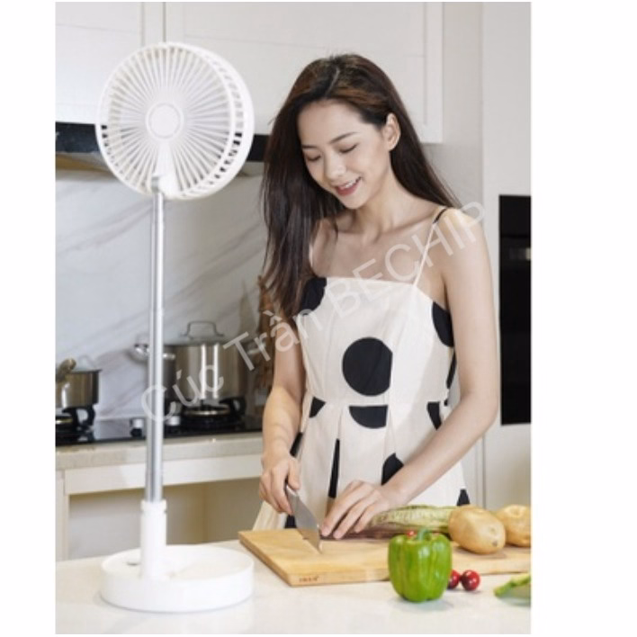 Quạt Tích Điện Gấp Gọn Để Bàn Có Điều Khiển Ctb206 - Bechip - Ảnh 3