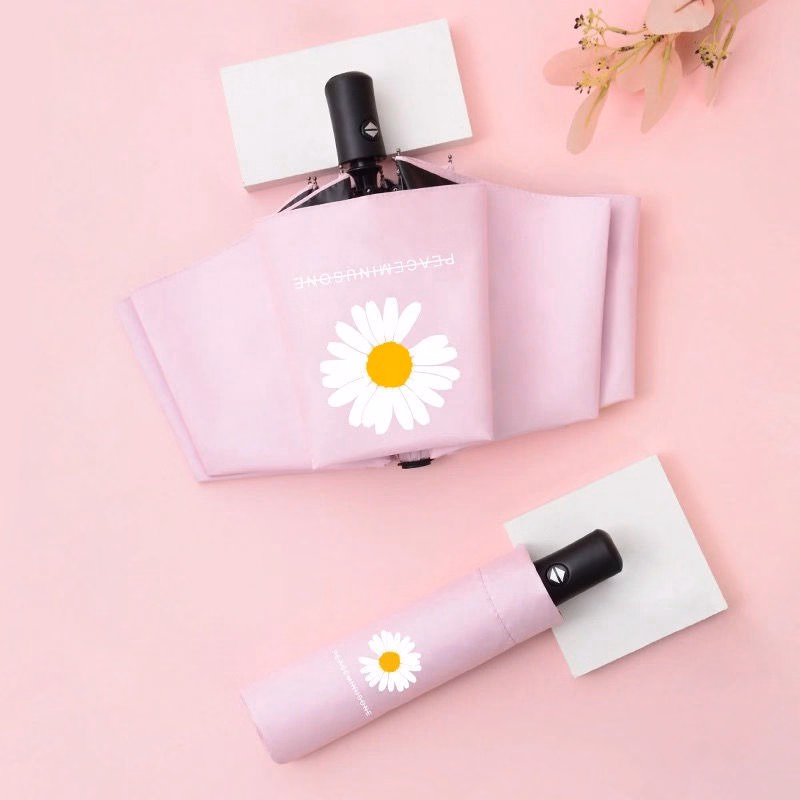 Ô Dù Xếp Hoa Cúc Daisy Hàn Quốc, Chống Tia Uv, Chất Liệu Vải Dù Mật Độ Cao, Chống Nước Tuyệt Đối Gd074 - Lady'S Passion - Ảnh 3