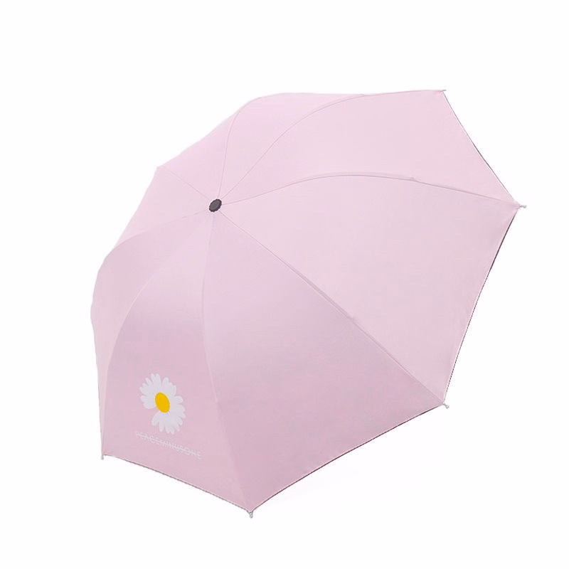 Ô Dù Xếp Hoa Cúc Daisy Hàn Quốc, Chống Tia Uv, Chất Liệu Vải Dù Mật Độ Cao, Chống Nước Tuyệt Đối Gd074 - Lady'S Passion - Ảnh 2