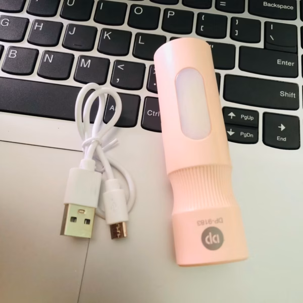 Đèn Pin Mini Siêu Sáng Dp 9183 - Silver - Ảnh 2