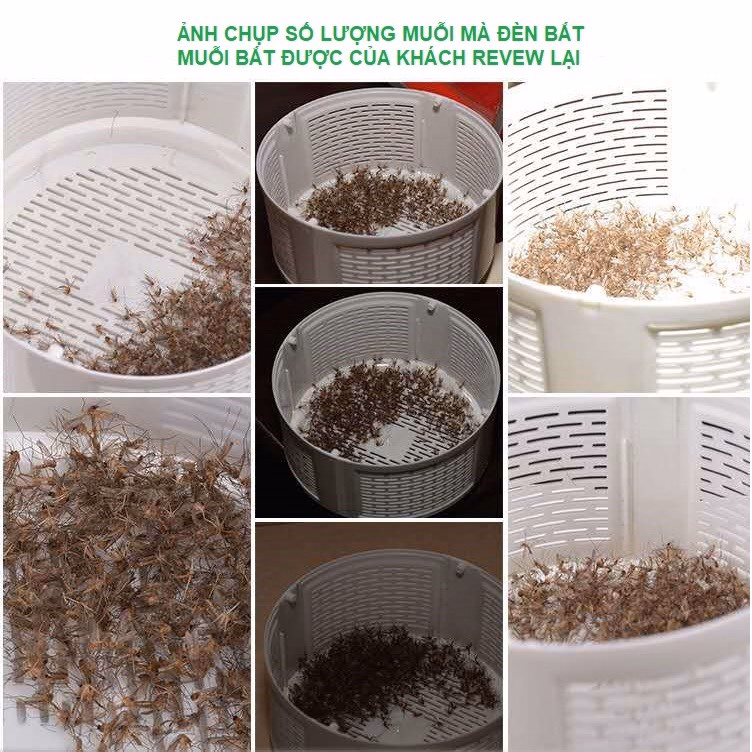 Đèn Bắt Muỗi Thông Minh Nhật Bản Gd182 - Lady'S Passion - Ảnh 5