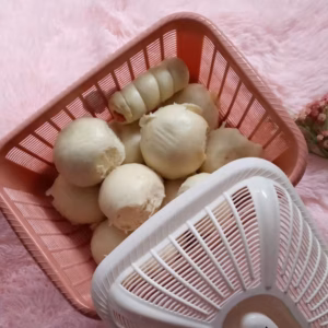 Rổ Nhựa Vuông Có Nắp Việt Nhật - Gdn