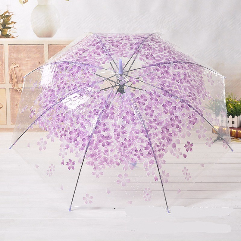 Ô Dù Trong Suốt Hoa Anh Đào - Gdn - Ảnh 3