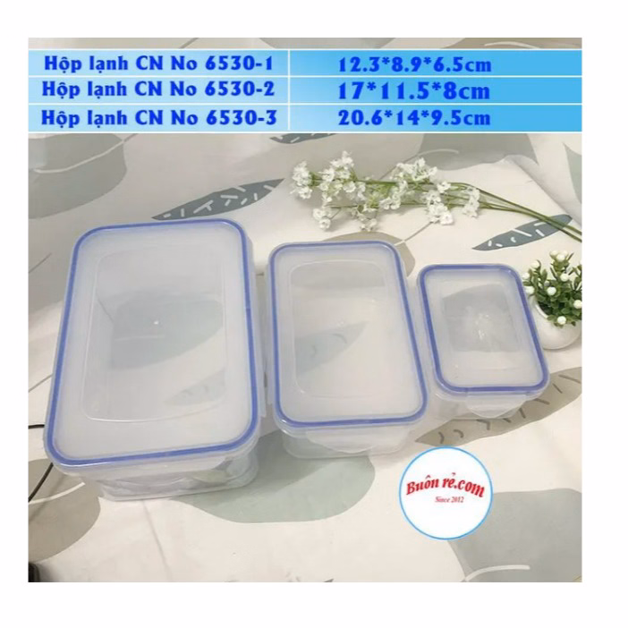 Bộ 3 Hộp Nhựa Việt Nhật Bằng Nhựa Nguyên Sinh, Dùng Được Trong Lò Vi Sóng Ctb300 - Bechip - Ảnh 4