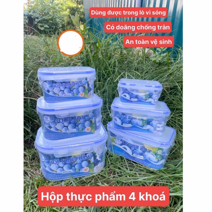Bộ 3 Hộp Nhựa Việt Nhật Bằng Nhựa Nguyên Sinh, Dùng Được Trong Lò Vi Sóng Ctb300 - Bechip - Ảnh 3