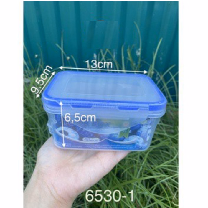 Bộ 3 Hộp Nhựa Việt Nhật Bằng Nhựa Nguyên Sinh, Dùng Được Trong Lò Vi Sóng Ctb300 - Bechip - Ảnh 8