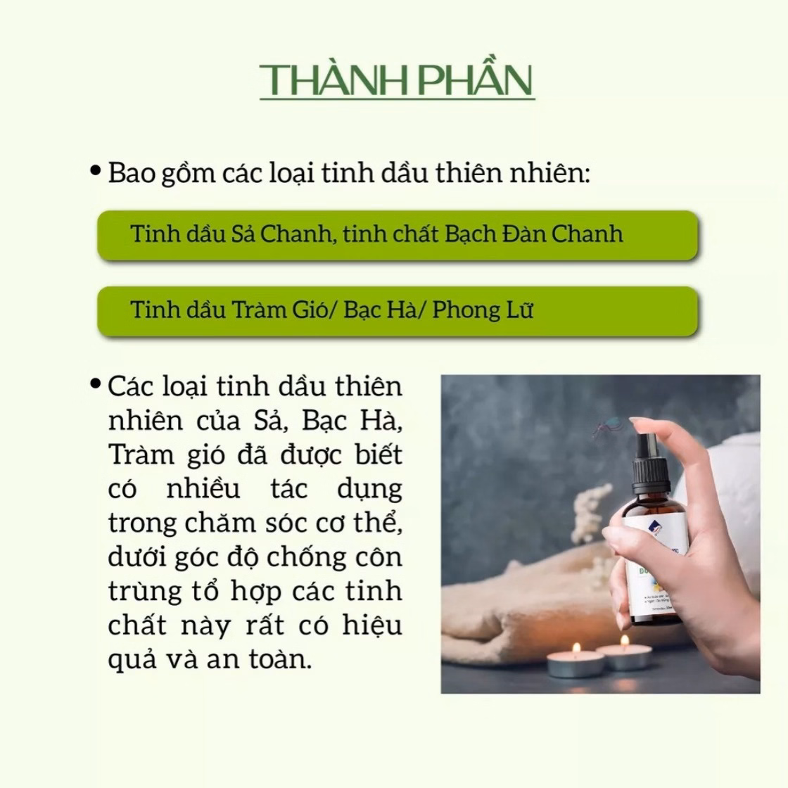 Tinh Dầu Xịt Thảo Dược Lên Da Chống Muỗi, Côn Trùng 50Ml - Ecocare - Ảnh 4