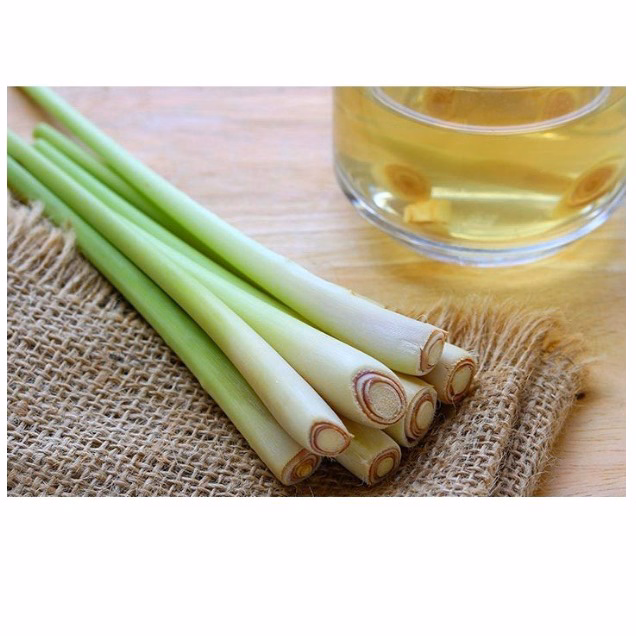 Nước Lau Sàn Tinh Dầu Sả, Nước Cất Tinh Dầu Xả Lau Sàn, Tinh Dầu Sả Nguyên Chất 1 Lít Ctb333 - Bechip - Ảnh 11