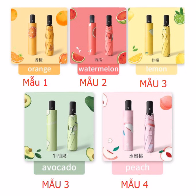 Ô Dù Che Mưa, Che Nắng Tự Động Gấp Gọn Cầm Tay Họa Tiết Trái Cây Siêu Dễ Thương Ctb351 - Bechip - Ảnh 13