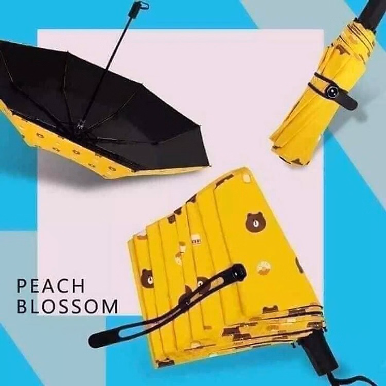 Dù Gấu, Dù Uv Ô Dù Gấp Gọn Hình Gấu Brown Phong Cách Hàn Quốc Ctb353 - Bechip - Ảnh 6