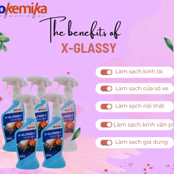 Nước Làm Sạch Kính Xe Hơi X-Glassy 600Ml Ekokemika - Ảnh 6