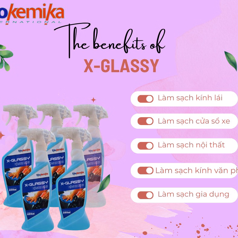 Nước Làm Sạch Kính Xe Hơi X-Glassy 600Ml Ekokemika - Ảnh 6