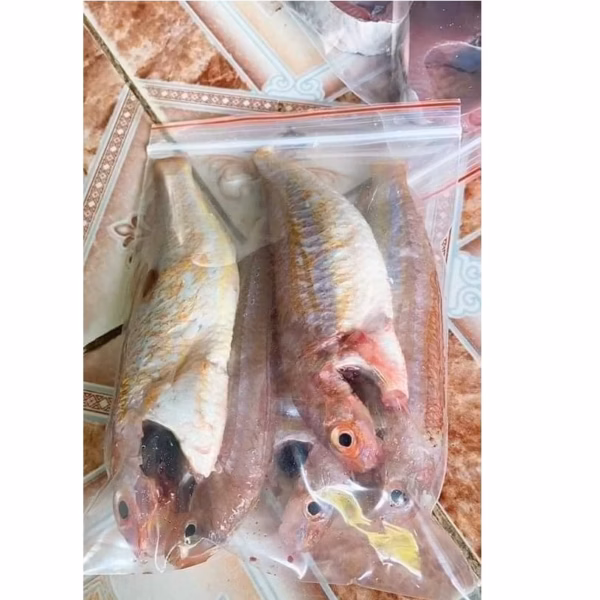 Túi Zip Nhựa Trong Suốt Đựng Thực Phẩm Đủ Kích Thước Ctb437 - Bechip - Ảnh 4