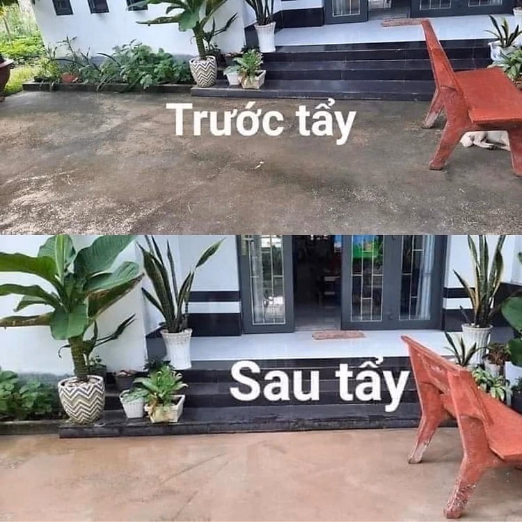 Thuốc Diệt Rong, Bột Tẩy Rong Rêu Nền Gạch, Xi Măng, Trần Nhà, Tường Nhà Túi 500G Ctb451 - Bechip - Ảnh 4