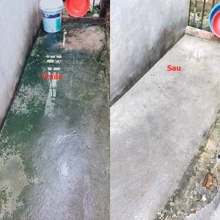 Thuốc Diệt Rong, Bột Tẩy Rong Rêu Nền Gạch, Xi Măng, Trần Nhà, Tường Nhà Túi 500G Ctb451 - Bechip - Ảnh 7